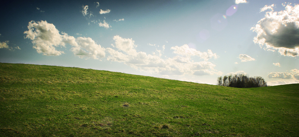 New Things Every Day