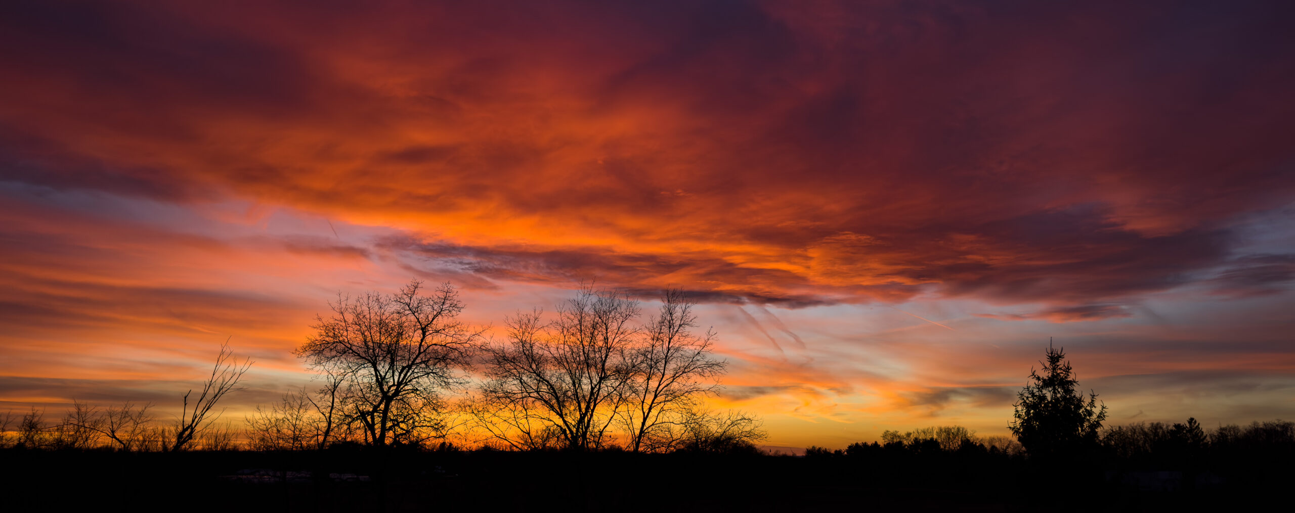 2022 In Review: Home & Family