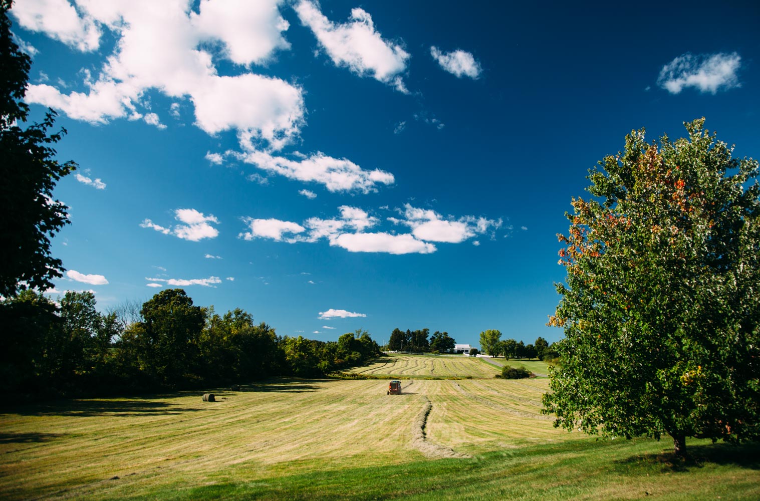 Farewell, Simply Recipes.