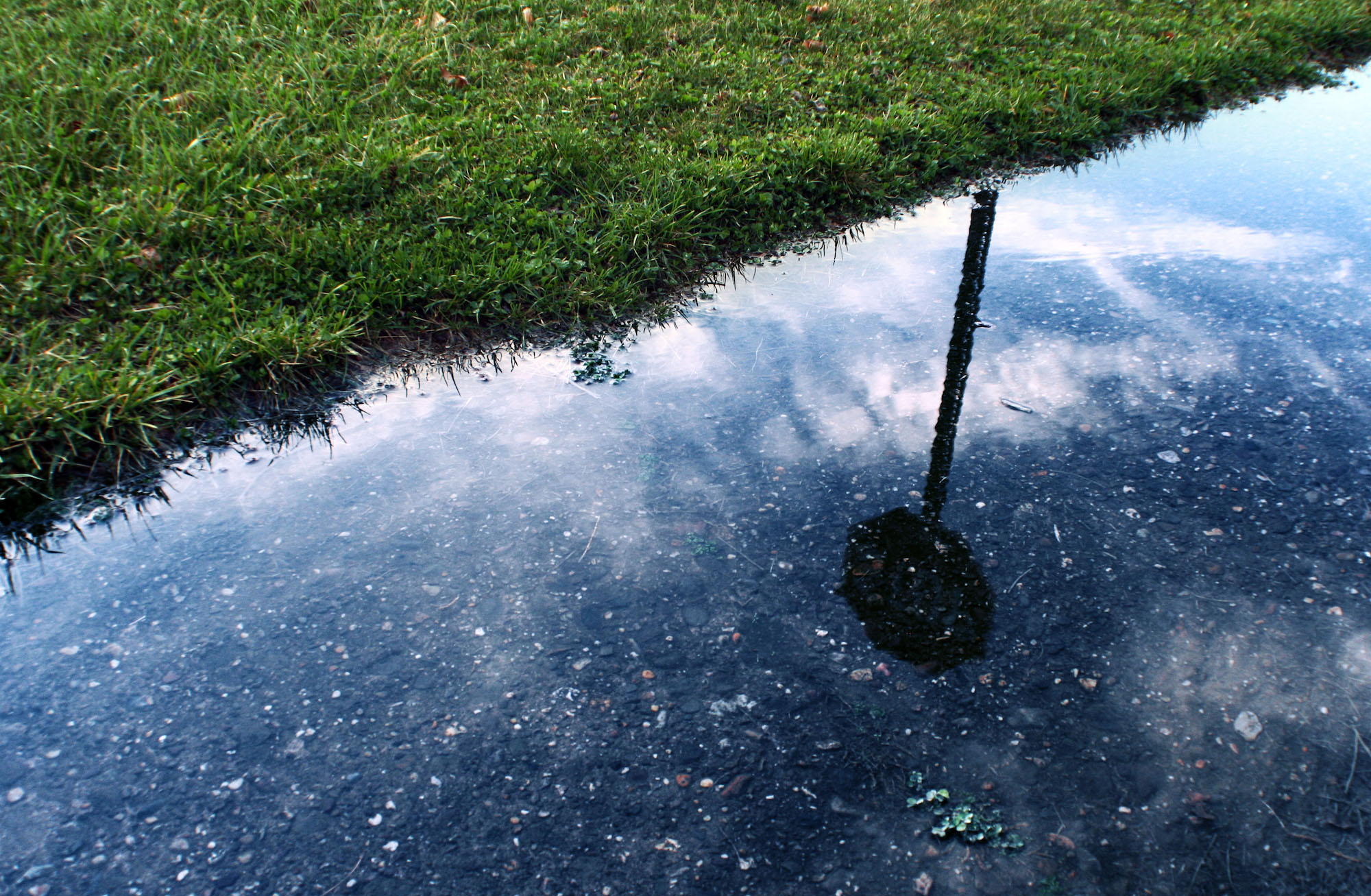 Where Do We Go From Here?