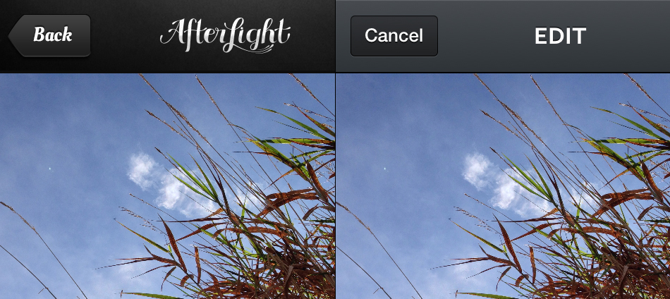 share-afterlight.jpg